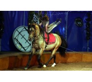 Stage cirque, aérien et voltige à cheval